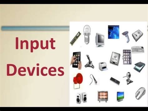 What is Input Device | Types of Input Devices | Computer Devices - YouTube
