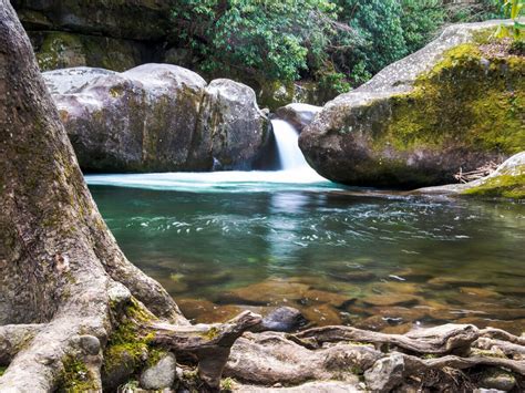 The 6 Best Great Smoky Mountains Waterfalls and Swimming Holes