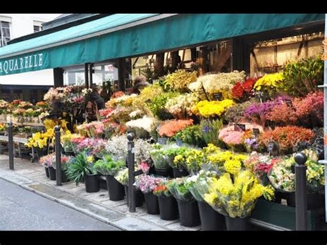 flower shops - flower shops near me - YouTube