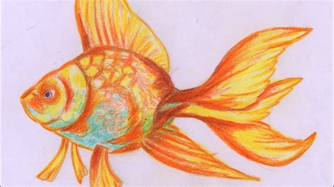 Beautiful Fish Painting - speed painting for beginners - YouTube