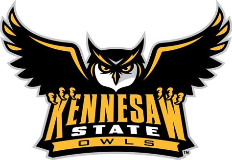 Kennesaw State Owls Primary Logo | Kennesaw state, Kennesaw state university, Kennesaw