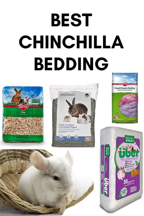 Best Chinchilla Bedding - I'm Chinchillin' | Chinchilla, Chinchilla care, Small animal bedding