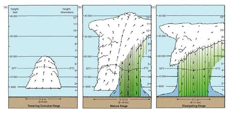 3: The three stages of an ordinary cell thunderstorm: (a) towering ...