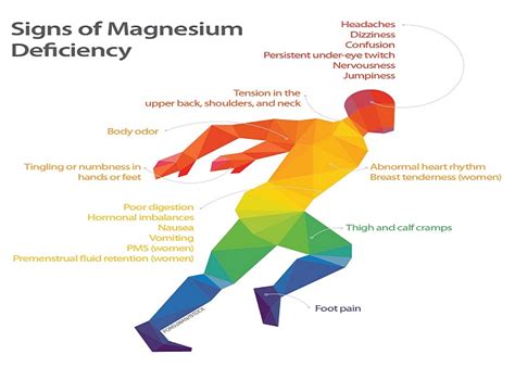 Magnesium Blood Test