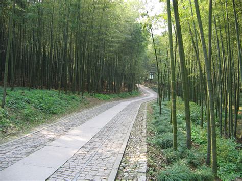 File:China Hangzhou Bamboo Lined Path at Yunqi.JPG - Wikimedia Commons