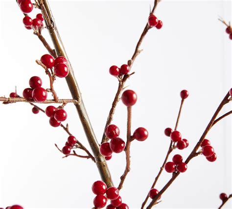 Faux Berry Branch - Red | Pottery Barn