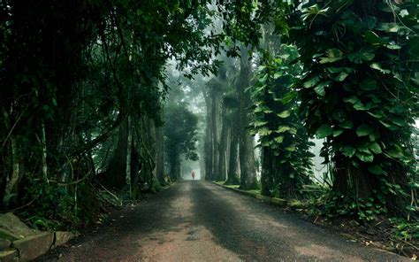 Aburi Botanical Gardens: A Haven for Nature Lovers