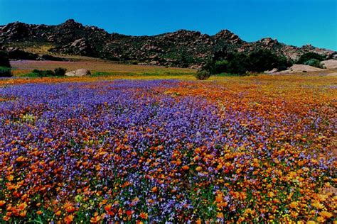 Namibia, Namaqualand Places Worth Visiting, Southern Africa, Durban ...