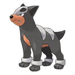 Houndour | Pokédex