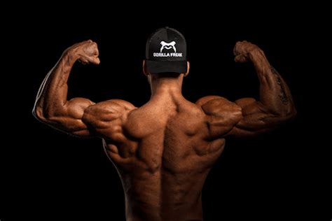 Why is Creatine Important for Bodybuilding? - UrbanMatter