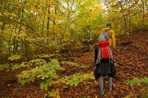 Why 2020 Is The Best Year To Join Our Supporters’ Trek In Dilijan ...