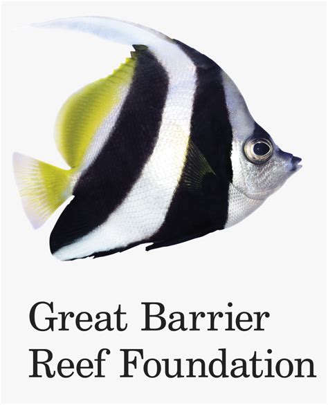 Great Barrier Reef Foundation Logo, HD Png Download , Transparent Png Image - PNGitem