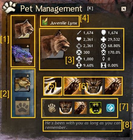 Pet - Guild Wars 2 Wiki (GW2W)