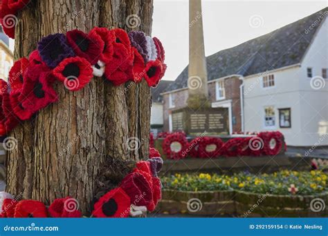 Knitted Poppies Around Tree for Remembrance Day with War Memorial and Poppy Wreaths in ...