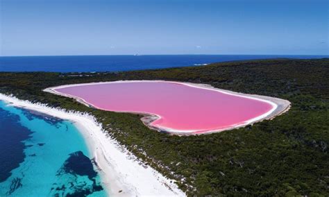 Lago Hillier, un toque rosa en Australia | Turismo aventura, Playas ...