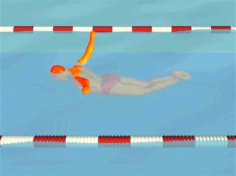 Butterfly stroke | swimming | Britannica.com