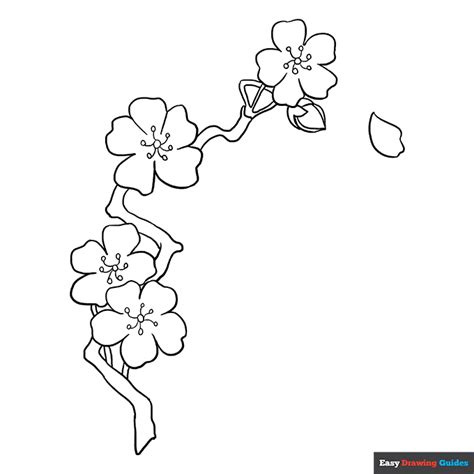 Cherry Blossoms Coloring Page | Easy Drawing Guides