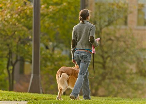 Dog Walker | A lady walking her dog in the park. | niXerKG | Flickr