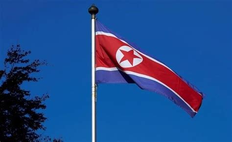 Taboo North Korean Flag Raised In South For Olympics