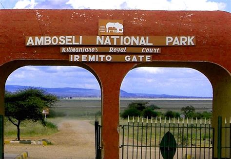 Amboseli park fees | amboseli parke entry fees, amboseli park