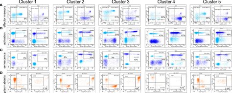 Frontiers | Fine Analysis of Lymphocyte Subpopulations in SARS-CoV-2 ...