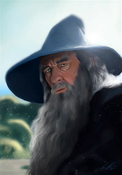 Gandalf the Grey by Quinfu on DeviantArt