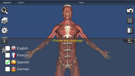 Best 3d anatomy program - ggolpor