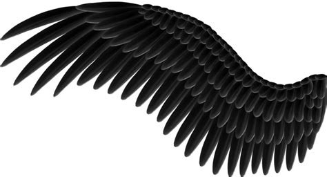 Wings Transparent HQ PNG Download | FreePNGImg