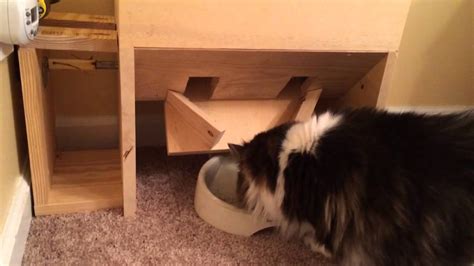 My homemade automatic cat feeder - YouTube