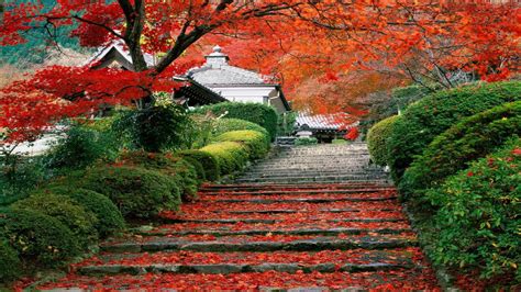 74 Background Japan Nature Images - MyWeb