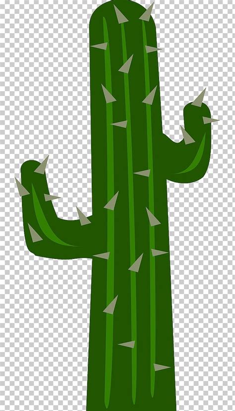 Cactus Portable Network Graphics Open Computer Icons PNG, Clipart, Cactus, Computer Icons ...