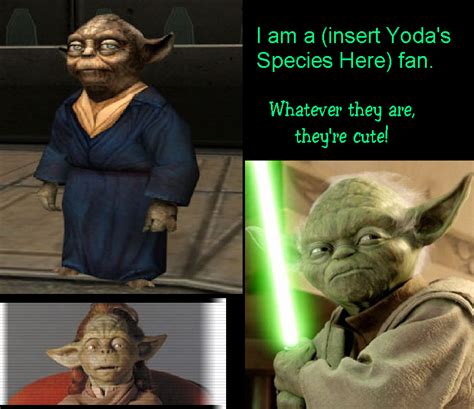 Yoda's Species Luver Screen by Bubbles4Jesus on DeviantArt