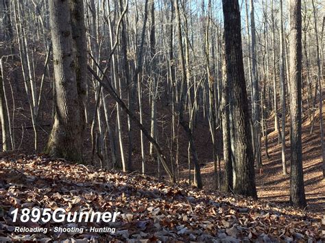 1895Gunner: WMA Hunting in NW Georgia - 2016