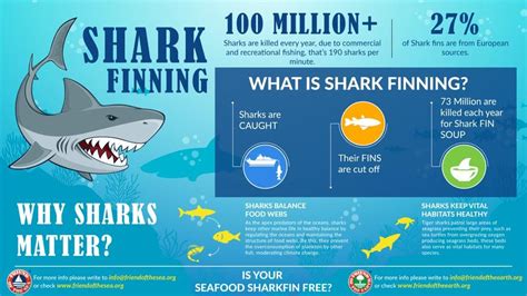 Save The Sharks Campaign | Possible Solutions to Save Sharks FOS