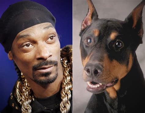 13 Reasons Snoop Dogg Is Probably Actually A Dog - BarkPost