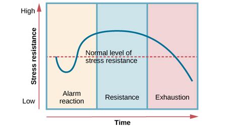 Hans Selye Stress Stages