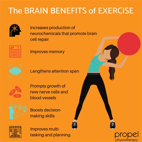 The Brain Benefits of Exercise - Propel Physiotherapy