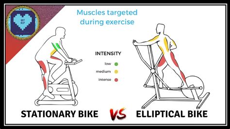 Treadmill vs Elliptical vs Bike vs Stairmaster | Ntaifitness Gym ...