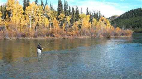 Fly Fishing in the Yukon - YouTube