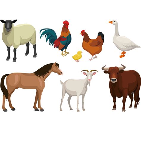 Cattle Goat Sheep Livestock - Farm animal vector illustration png download - 1500*1500 - Free ...