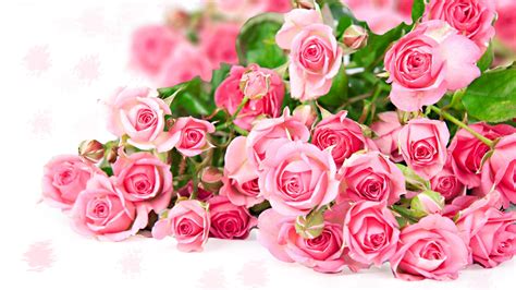 Pink rose flower bouquet, romantic color Wallpaper | 1920x1080 Full HD ...