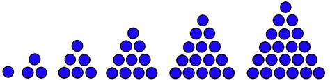 6 Macam Pola Bilangan Matematika Beserta Rumusnya - Biologizone