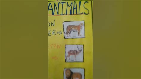 wild animal chart - YouTube