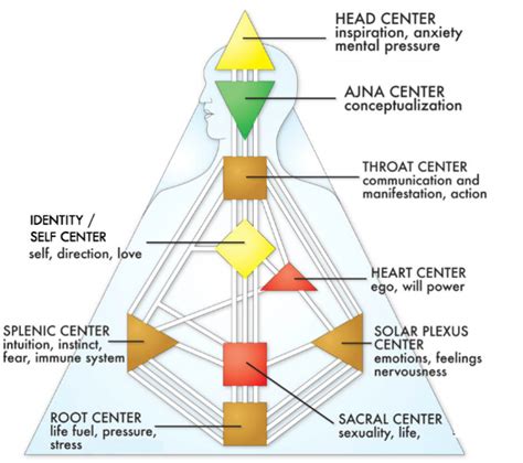 How to Make Your Defined and Undefined Centers Your Power Sources in Human Design — HI*DEF