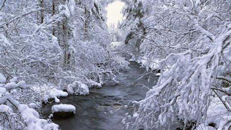 Snowshoe Hiking Stockholm Winter - www.thegreentrails.com