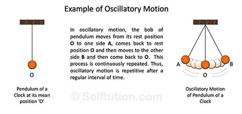 Types of Motion in Physics with Examples » Selftution