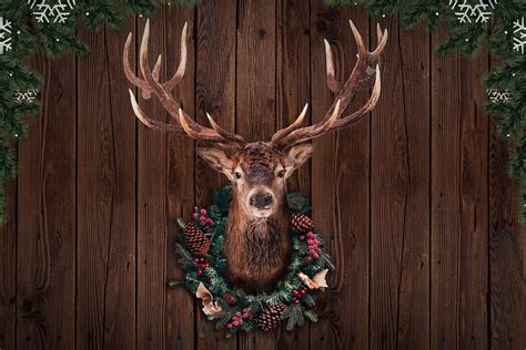 Christmas Deer Reindeer - Free image on Pixabay