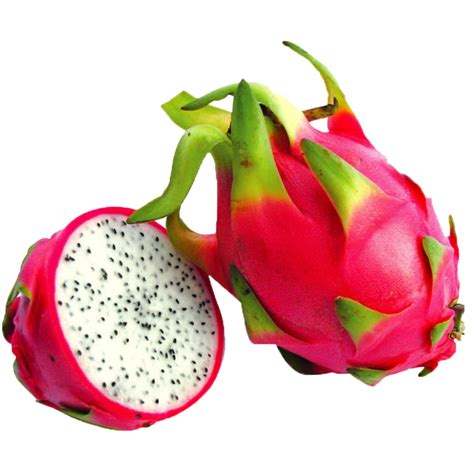 DRAGON FRUIT ( WHITE ) – Elitefoods