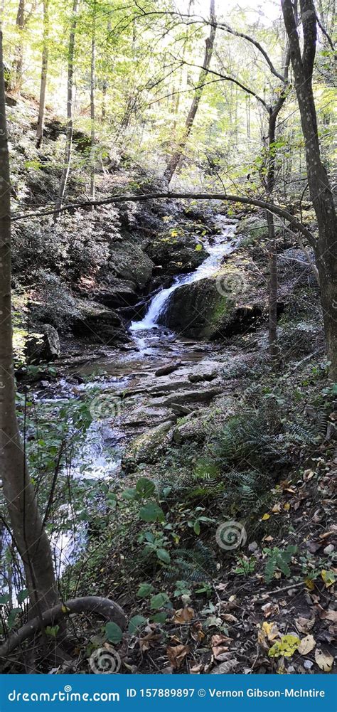 Tranquil Waterfall in Woods Stock Image - Image of nature, tranquil ...