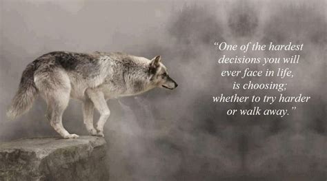 Life Inspiration Wolf Qoutes, Lone Wolf Quotes, Wisdom Quotes, True ...